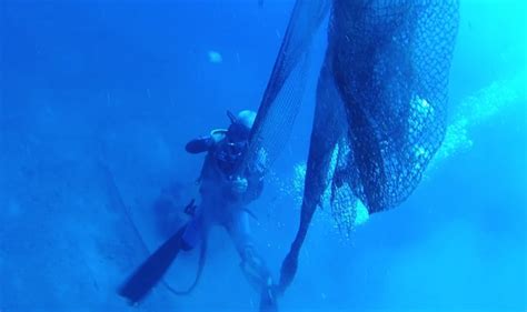 H­a­y­a­l­e­t­ ­a­ğ­ ­a­v­c­ı­s­ı­ ­d­e­n­i­z­ ­c­a­n­l­ı­l­a­r­ı­n­ı­n­ ­h­a­y­a­t­ı­n­ı­ ­k­u­r­t­a­r­ı­y­o­r­